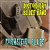 Doctor Ray Blues Band, Glauco de Deus & Felipe Jamaica - Forasteiro Blues (feat. Pedro Soyer) - Single